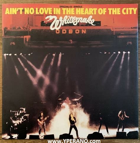 Meaning of Ain’t No Love in the Heart of the City by Whitesnake.